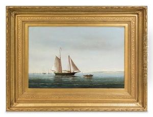 Placid Waters, Boston Harbor