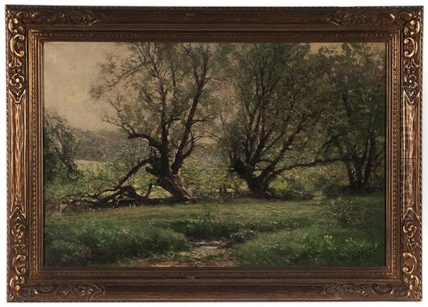 Trees On A River Bank - view 1