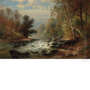 Forest Landscape With Rapids