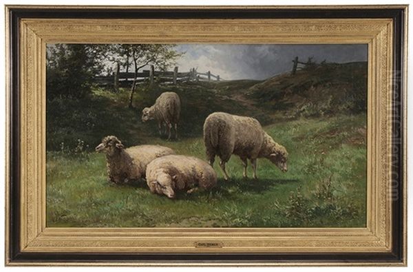 Sheep In A Pasture - view 1
