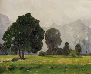 Landschaft Mit Dunklen Baumen Und Bergkette Im Hintergrund by Johannes Weber