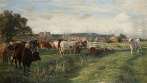 Herd Of Cattle Before The City