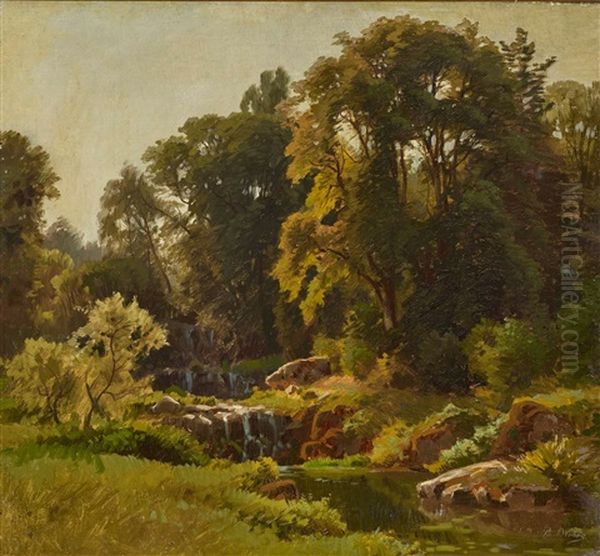 A Forest Creek - view 1