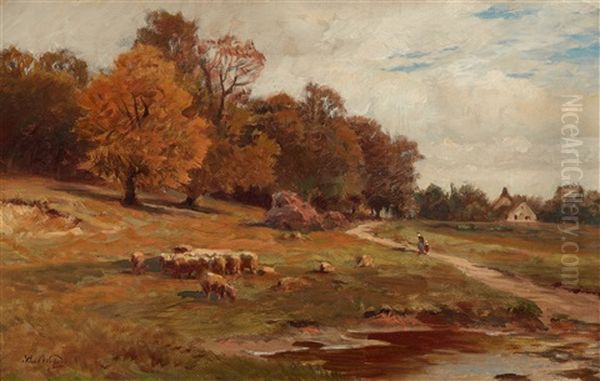 Bewaldete Landschaft Mit Schafherde - view 1
