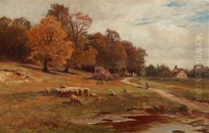 Bewaldete Landschaft Mit Schafherde Bewaldete Landschaft Mit Schafherde