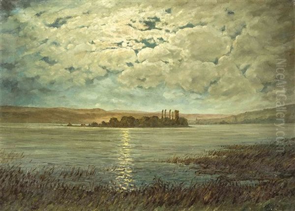Die Insel Lutzelau Im Zurichsee Bei Mondschein - view 1