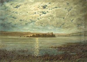 Die Insel Lutzelau Im Zurichsee Bei Mondschein by August Weber