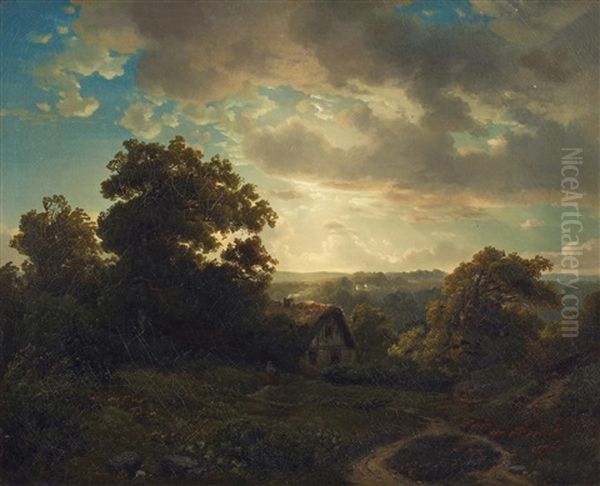 Abendstimmung Am Waldesrand - view 1