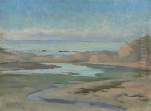 Provincetown Coast