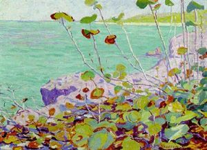 Wild Grape, Bermuda