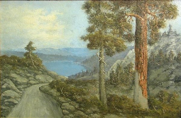 Donner Lake - view 1