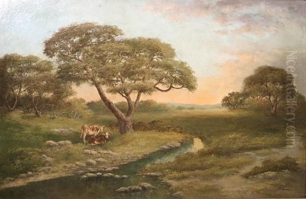 Cows Resting Near A Riverbank - view 1