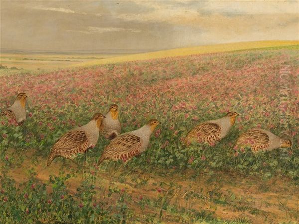 Quails On A Field Of Flowers - view 1
