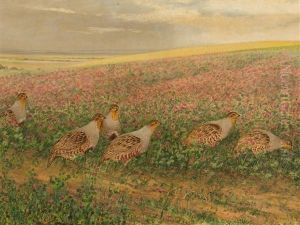 Quails On A Field Of Flowers
