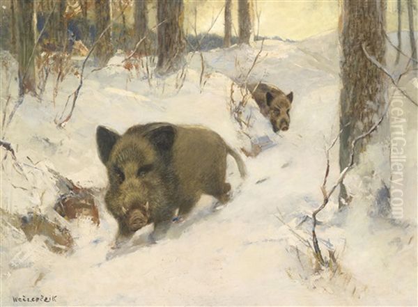 Wildschwein Im Winterwald - view 1