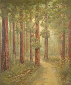A Road In The Redwoods by Alphonso Herman Broad