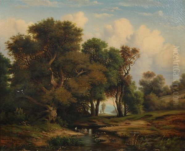 Idyllic Forest With Beck - view 1