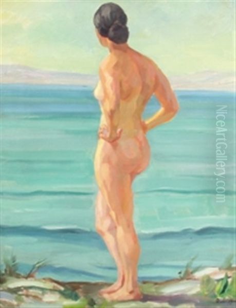 Damenakt Am Meer - view 1