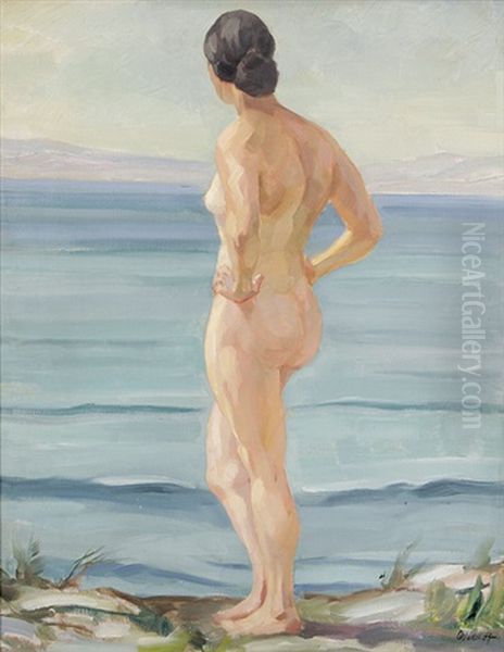 Weiblicher Akt Am Meer - view 1