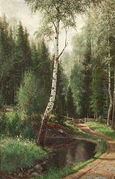 Skovparti Med Alob - view 1