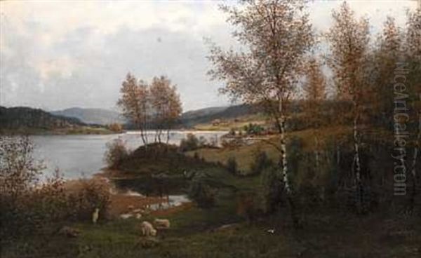 Kulturlandskap Med Sauer - view 1