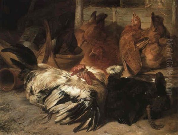 A Silvery-grey Rosecomb Cock And A White-crested Black Poland With Hens - view 1