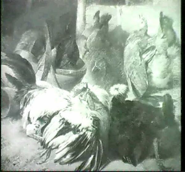 The Poultry Yard - view 1