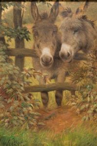 Two Donkeys Two Donkeys