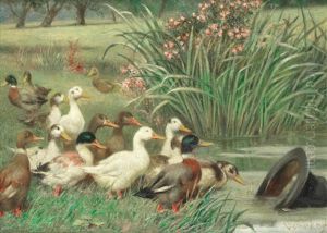 A Gaggle Of Curiosity by William Weekes