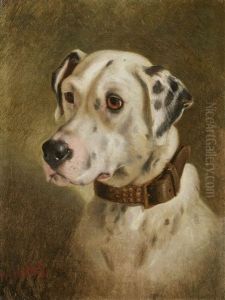 Dalmatian
