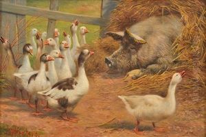 Farmyard Encounter by William Weekes