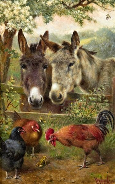 Two Donkies Leaning Over A Fence Watching Chickens And A Cockrell Scratching Around A Frog - view 1