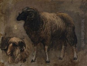 Study Of A Ram by Edwin Lord Weeks