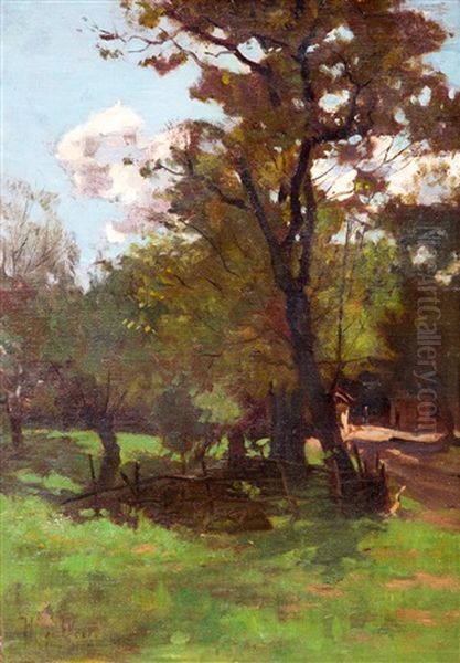 Landscape With Tree Near A Fence - view 1
