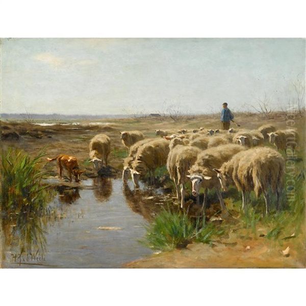 Sheep Watering - view 1