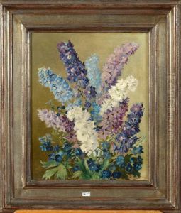 Delphinium Delphinium