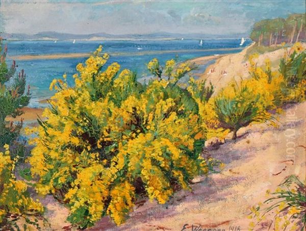 Coastal View From France - view 1