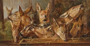Rehe An Der Futterstelle