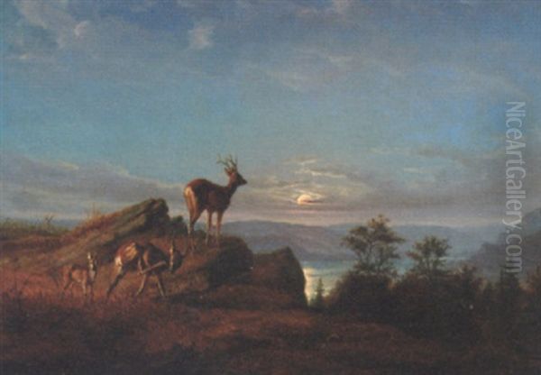 Deer In A Moonlit Landscape - view 1