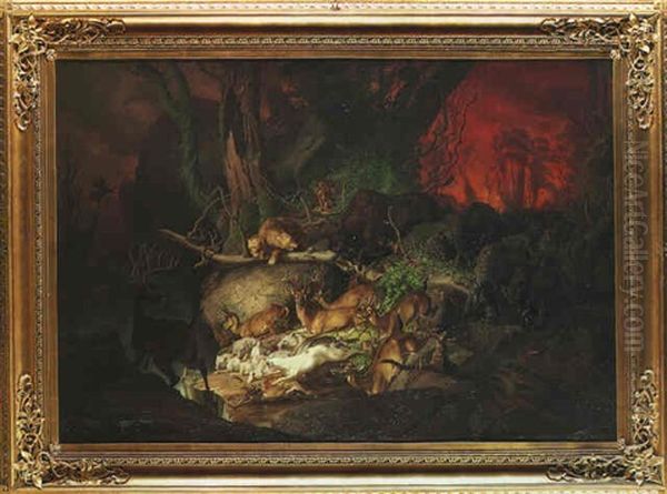 A Forest Fire, North America - view 1