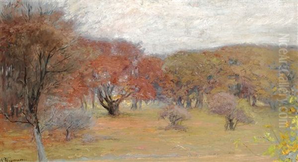 Autumn Trees - view 1