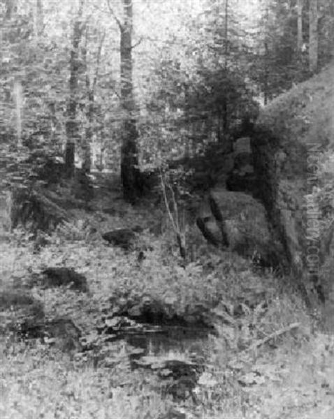 Waldquell - view 1