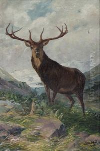 Hirsch In Weiter Gebirgslandschaft by Otto Weil