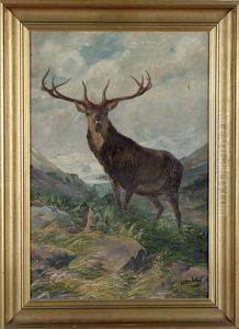 Hirsch In Weiter Gebirgslandschaft