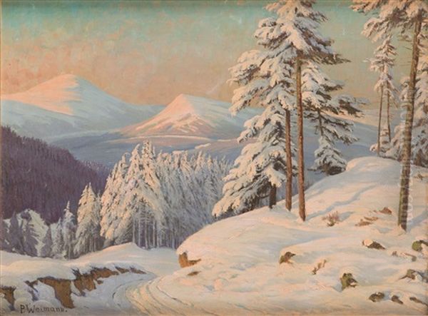 The Krkonose - Sniezka Mountian - view 1