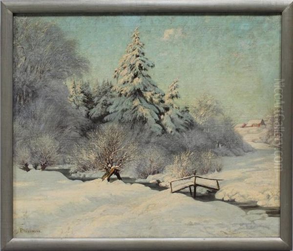 Verschneiter Bachlauf - view 1