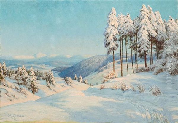Pejzaz Zimowy Z Karkonoszy - view 1
