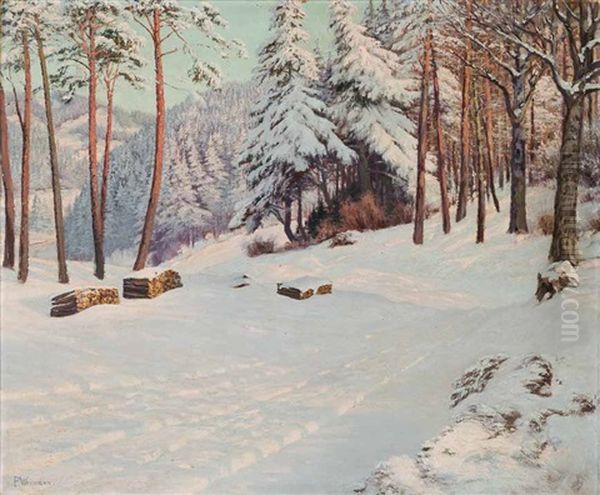 Winterlandschaft - view 1