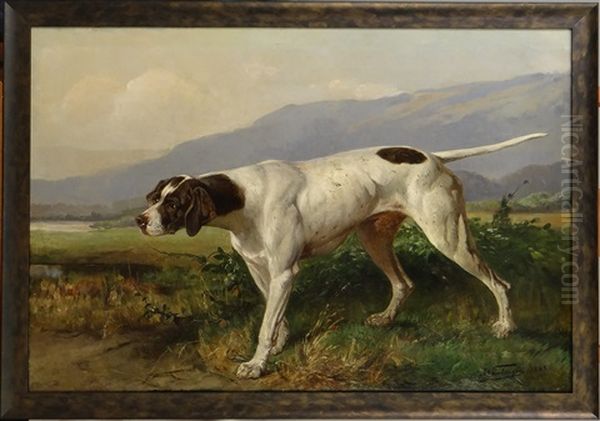Chien De Chasse A L'arret - view 1