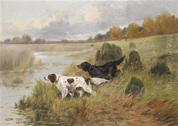 Vorstehhunde In Einer Weiten Landschaft - view 1